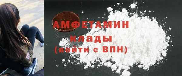 индика Осинники