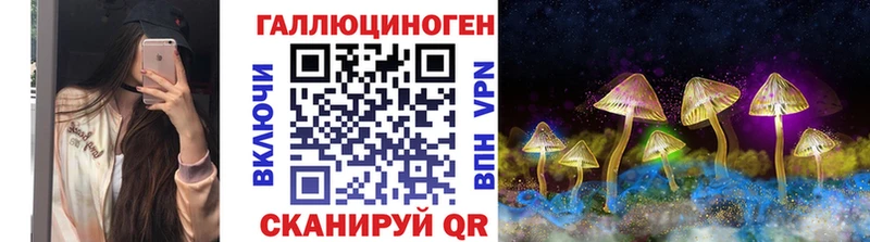 купить наркоту  Красноярск  Псилоцибиновые грибы Magic Shrooms 