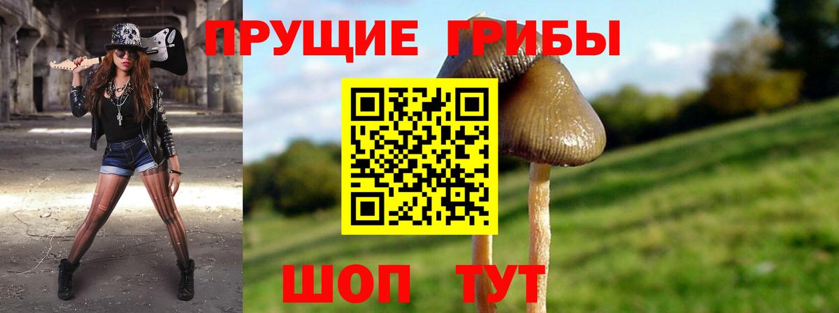 Псилоцибиновые грибы мицелий Красноярск